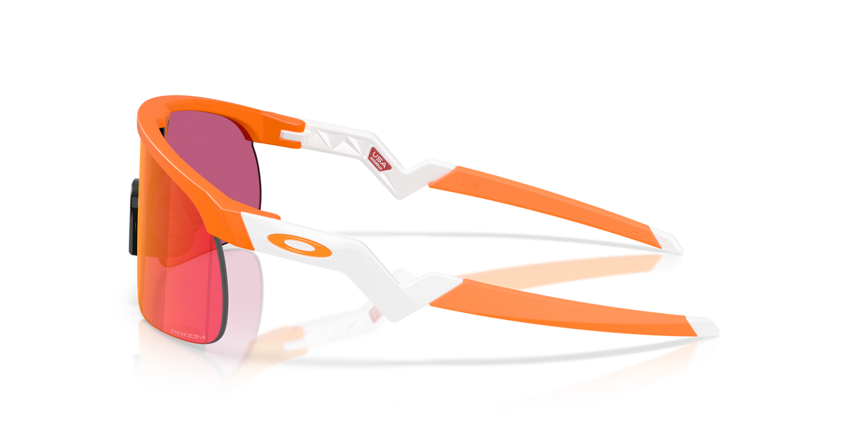 Oakley Resistor Sunglasses-3