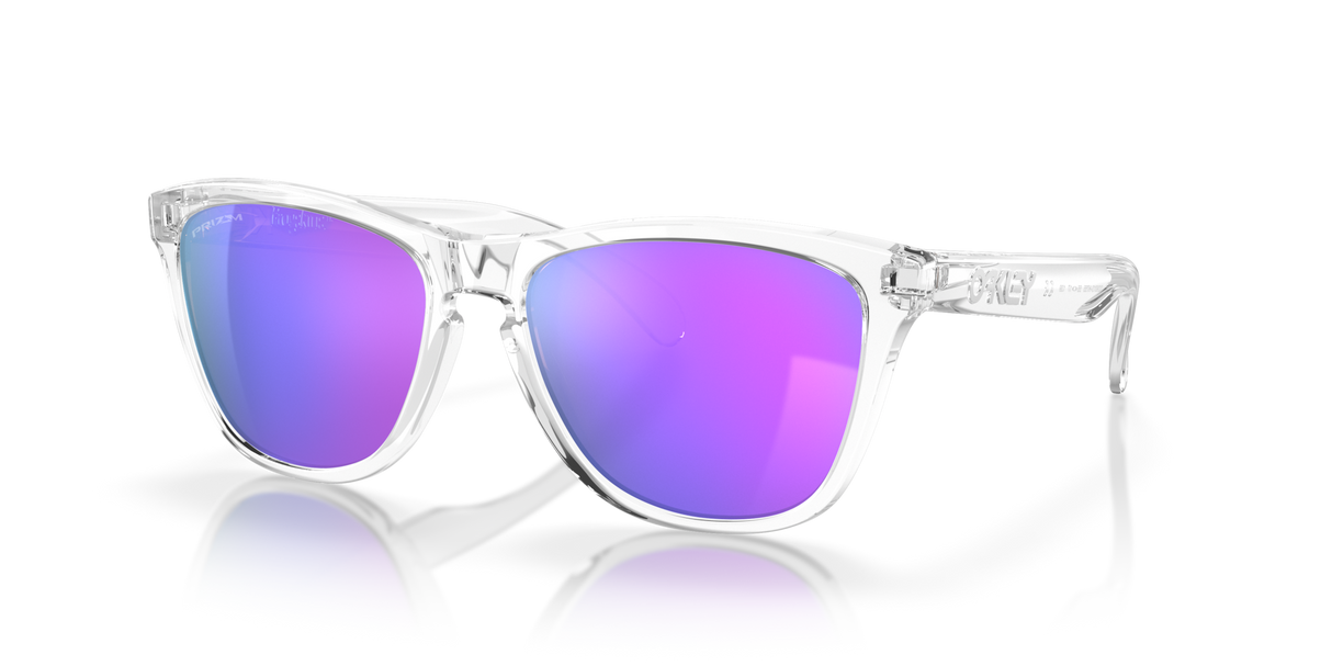Oakley Frogskins Glasses-3