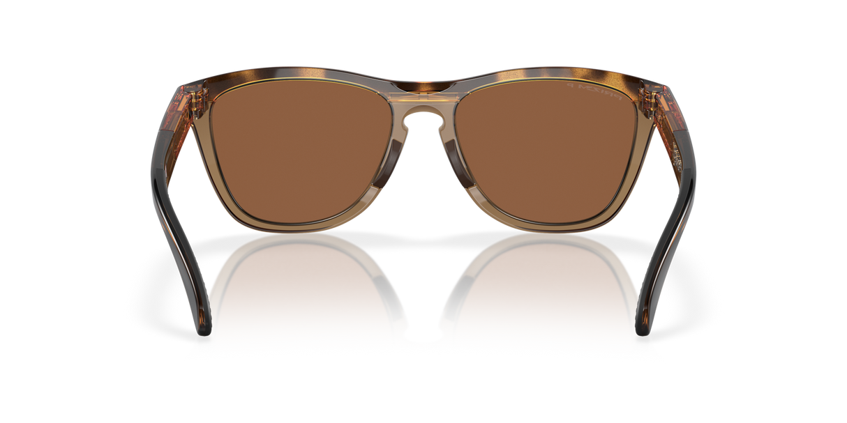 Oakley Frogskins Range Glasses-4