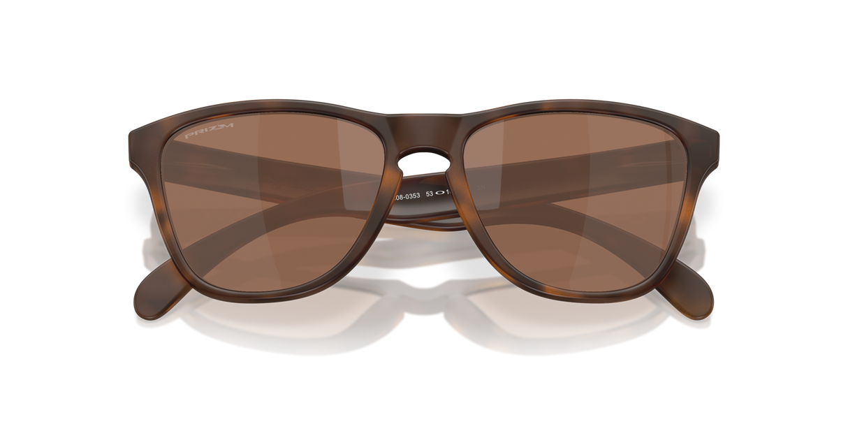 Oakley Frogskins S Glasses-9
