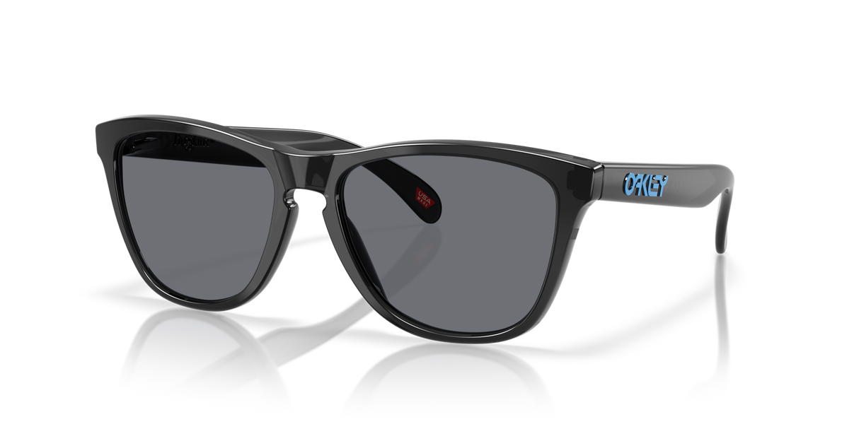 Oakley Frogskins Glasses-2