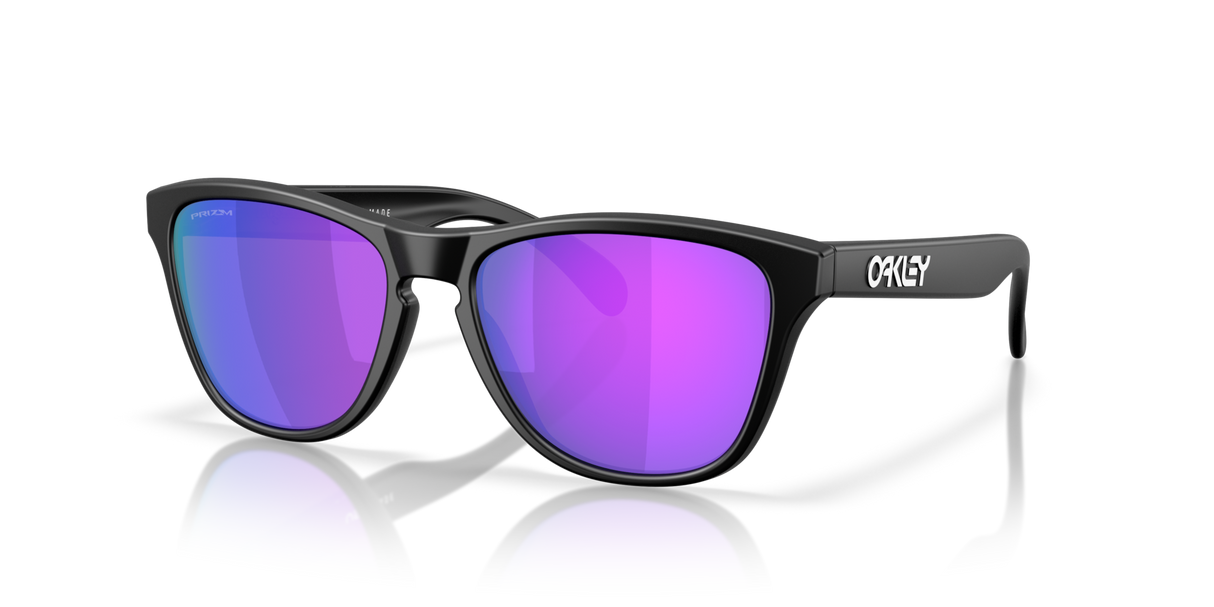Oakley Frogskins S Glasses-2