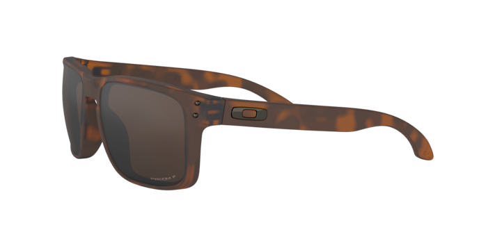 Oakley Holbrook Glasses-6