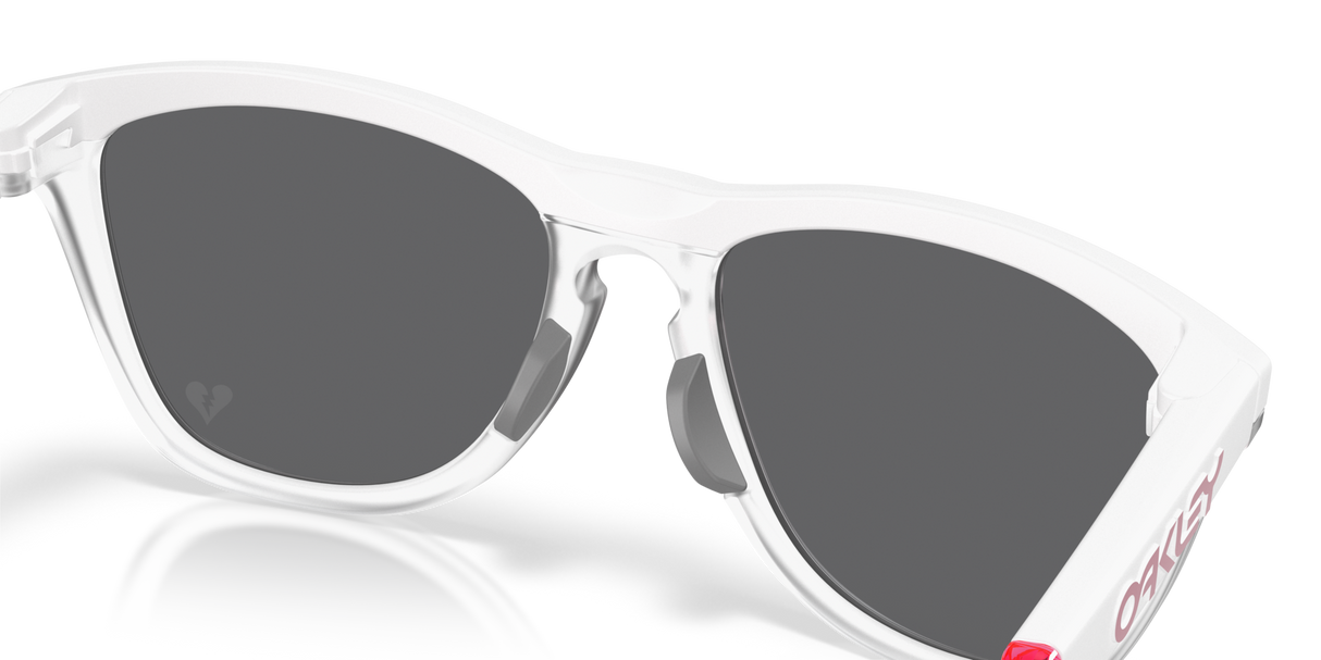 Oakley Frogskins Hybrid Glasses-7