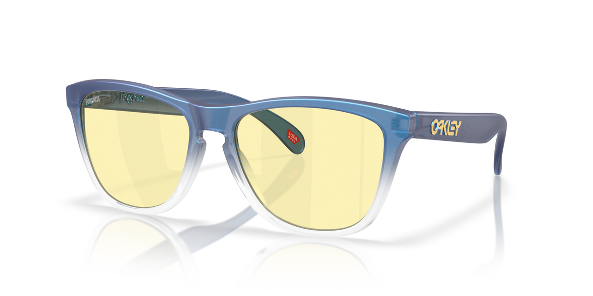 Oakley Frogskins Glasses-2