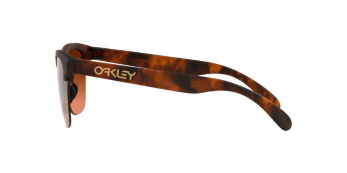 Oakley Frogskins Lite Glasses-8