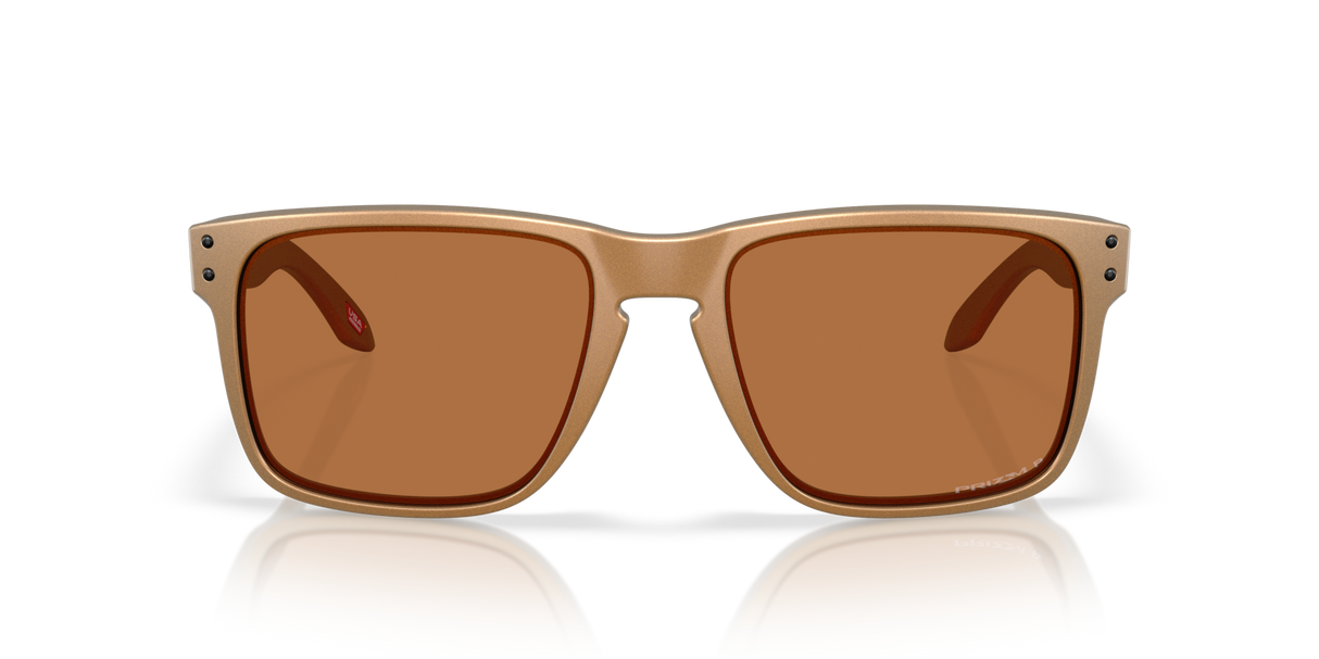 Oakley Holbrook XL Glasses-8