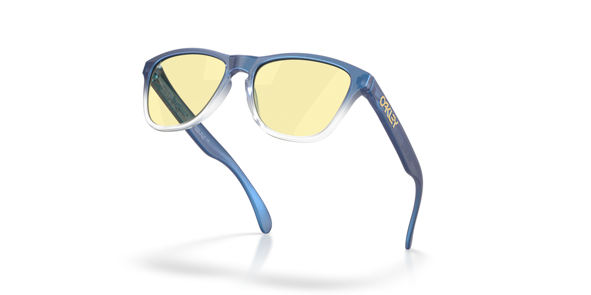 Oakley Frogskins S Glasses-5