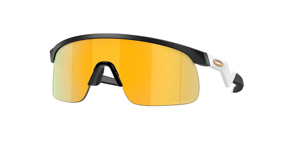 Oakley Resistor Sunglasses-1