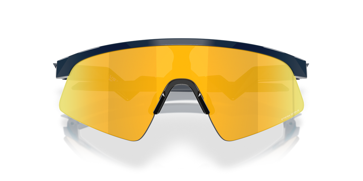 Oakley Resistor Sweep Sunglasses-9