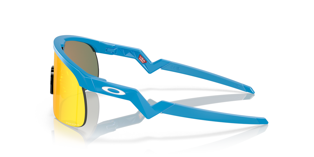 Oakley Resistor Sunglasses-4