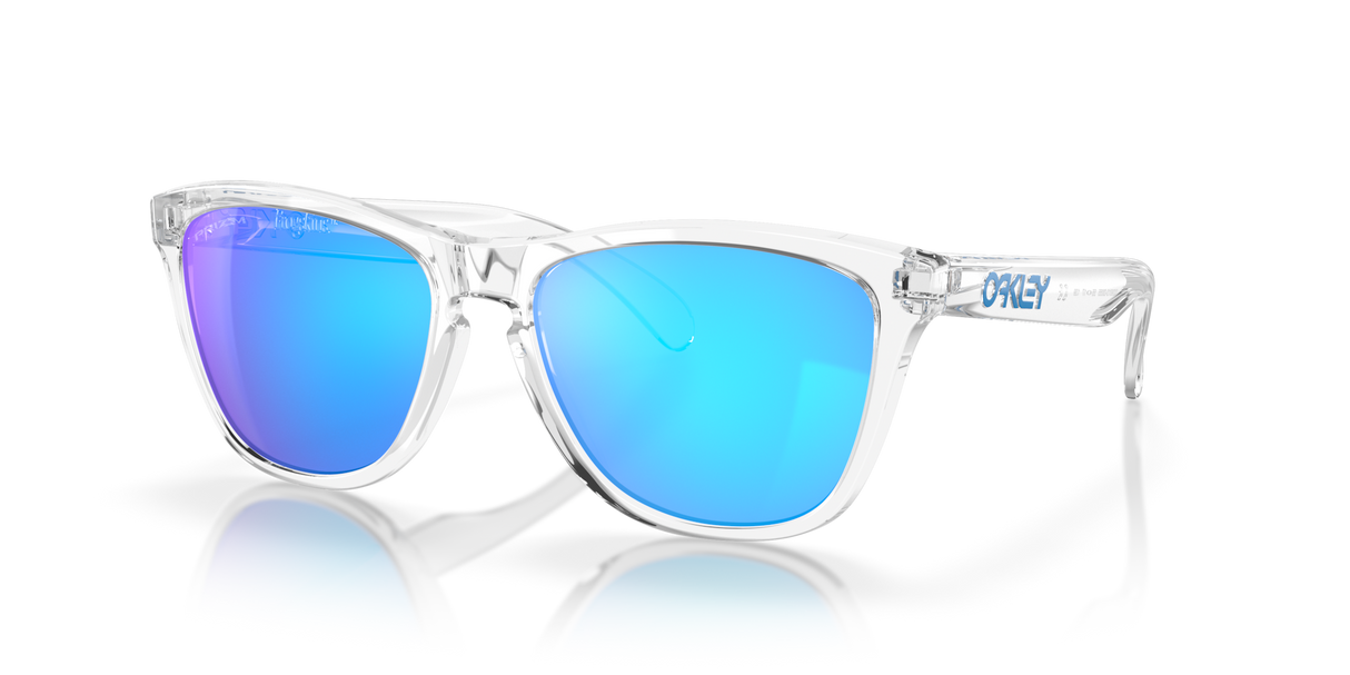 Oakley Frogskins Glasses-3