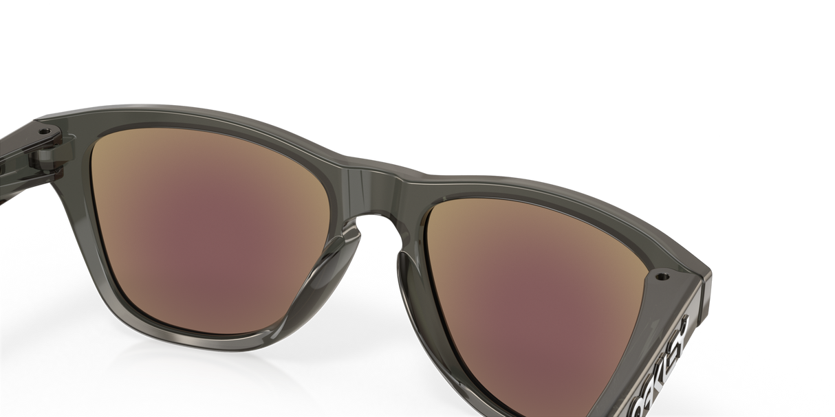 Oakley Frogskins XXS Glasses-10