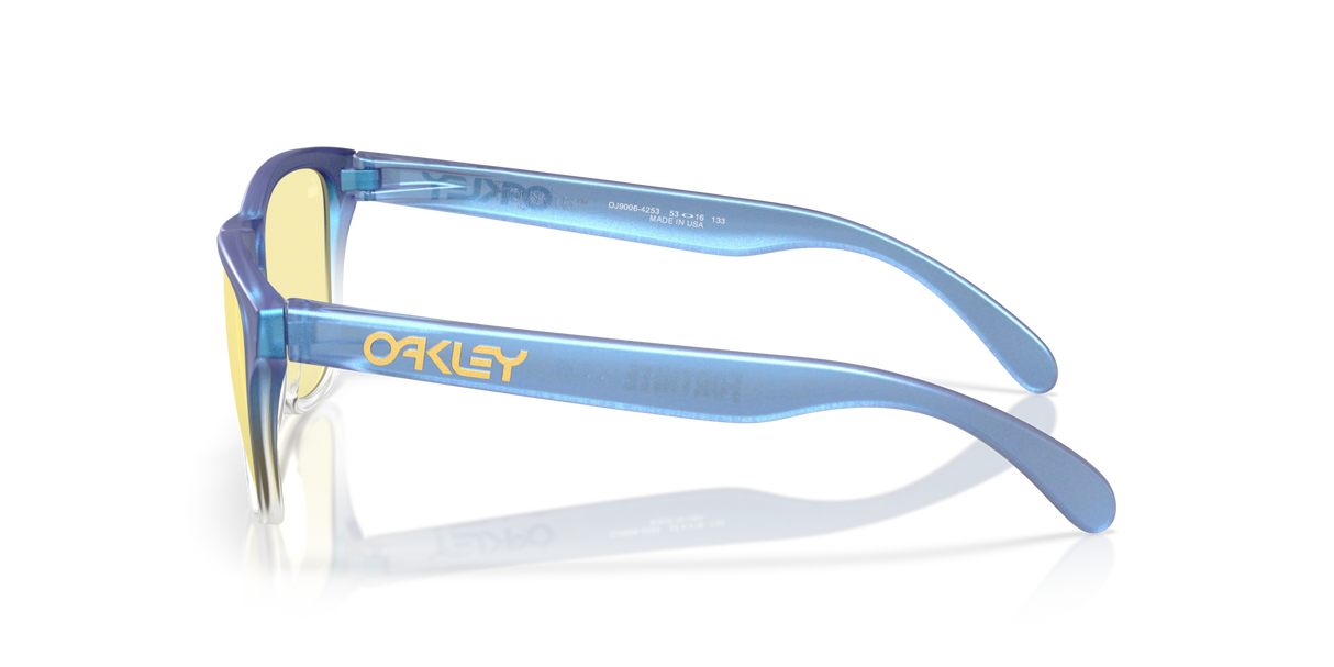 Oakley Frogskins XS Glasses-3