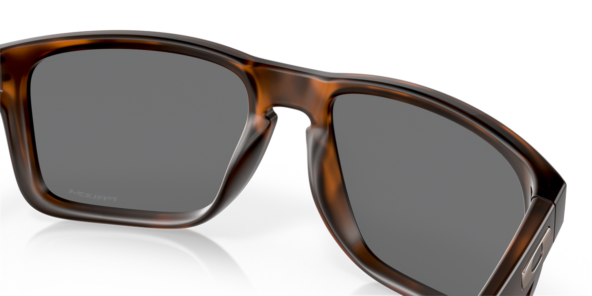 Oakley Holbrook XL Glasses-11