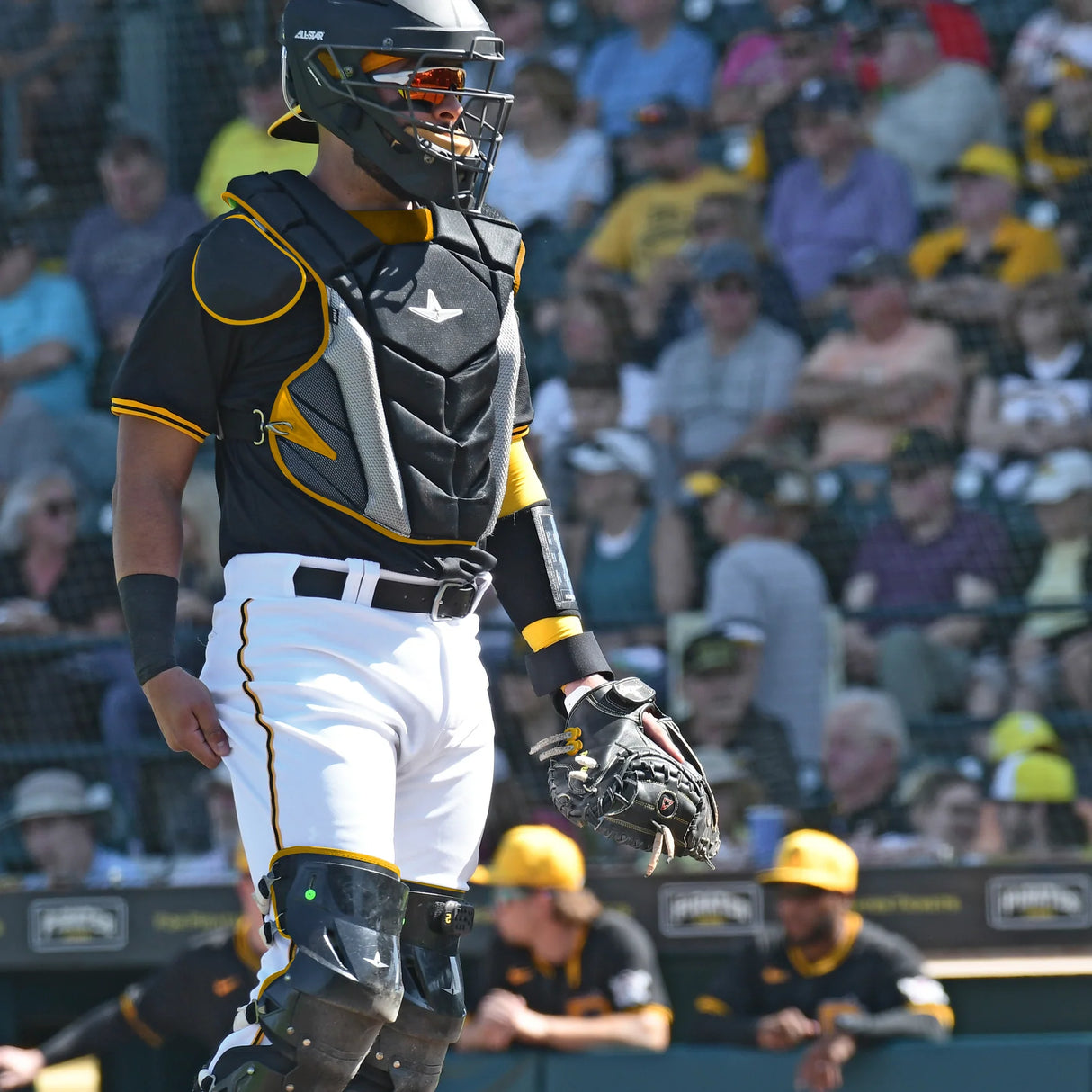 All Star Adult Pro-Elite™ Baseball Catcher Mitt-5