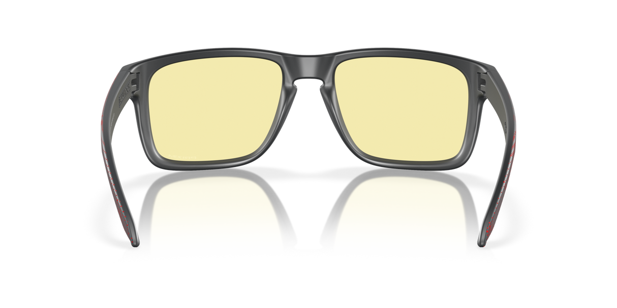 Oakley Holbrook XL Glasses-4