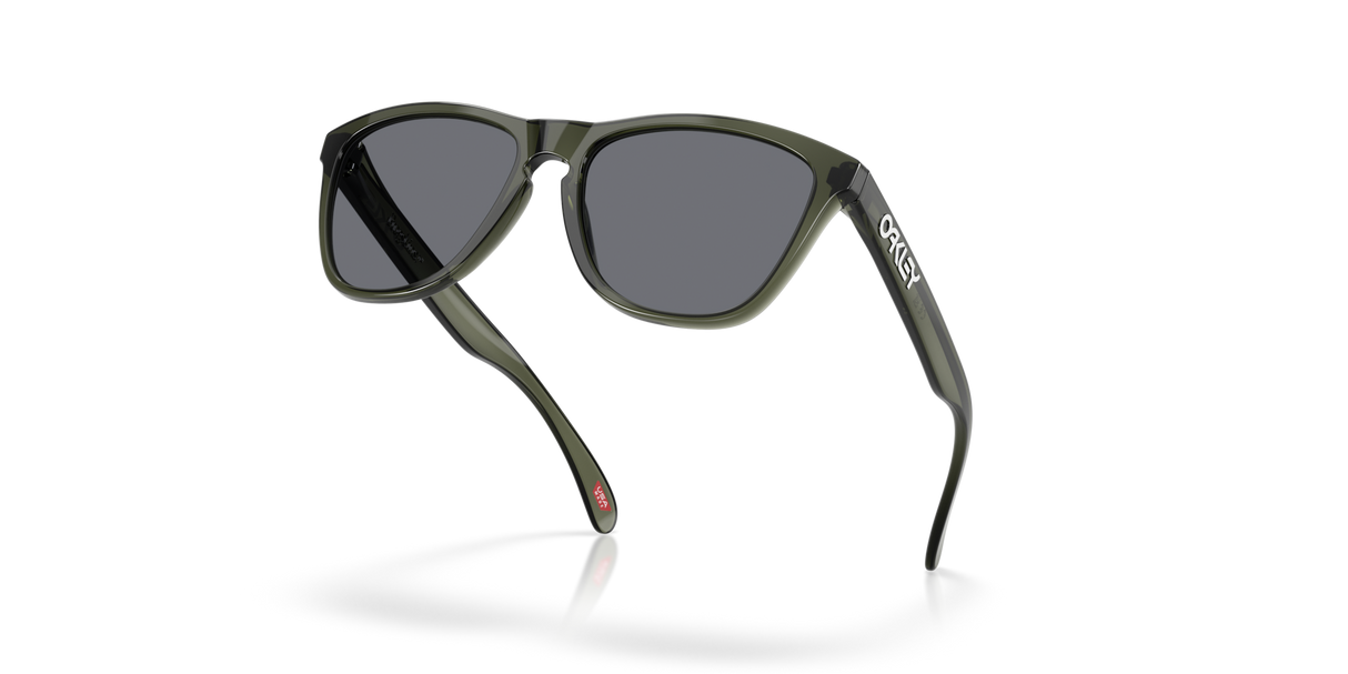 Oakley Frogskins Glasses-5