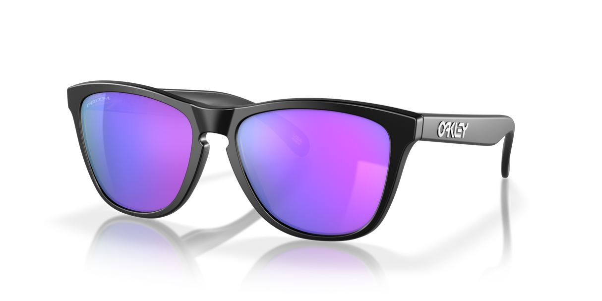 Oakley Frogskins Glasses-3