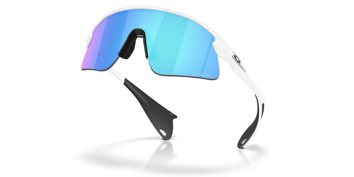 Oakley Stunt Devil Sunglasses-5
