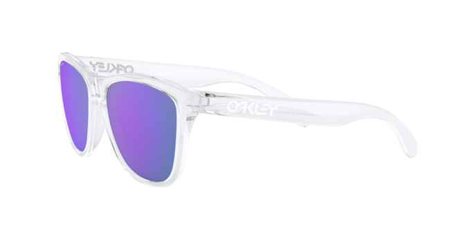 Oakley Frogskins Glasses-6