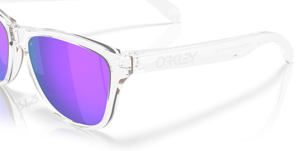 Oakley Frogskins S Glasses-6