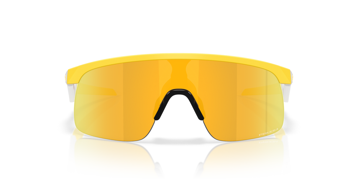 Oakley Resistor Sunglasses-8