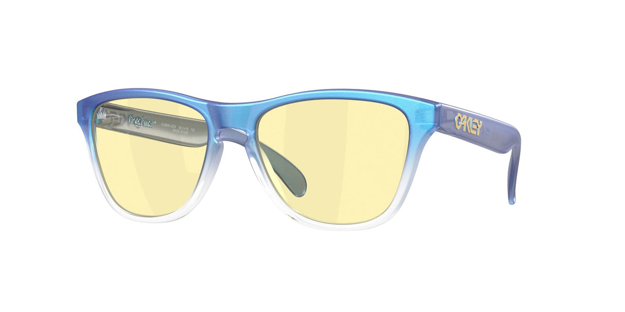 Oakley Frogskins XS Glasses-1