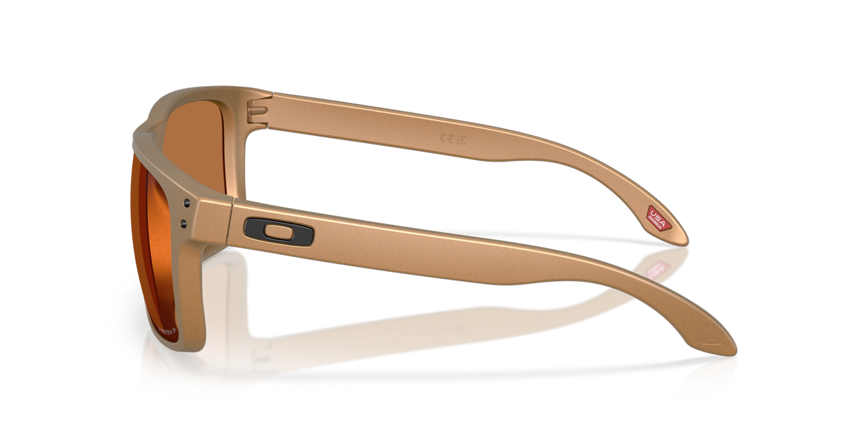Oakley Holbrook XL Glasses-3
