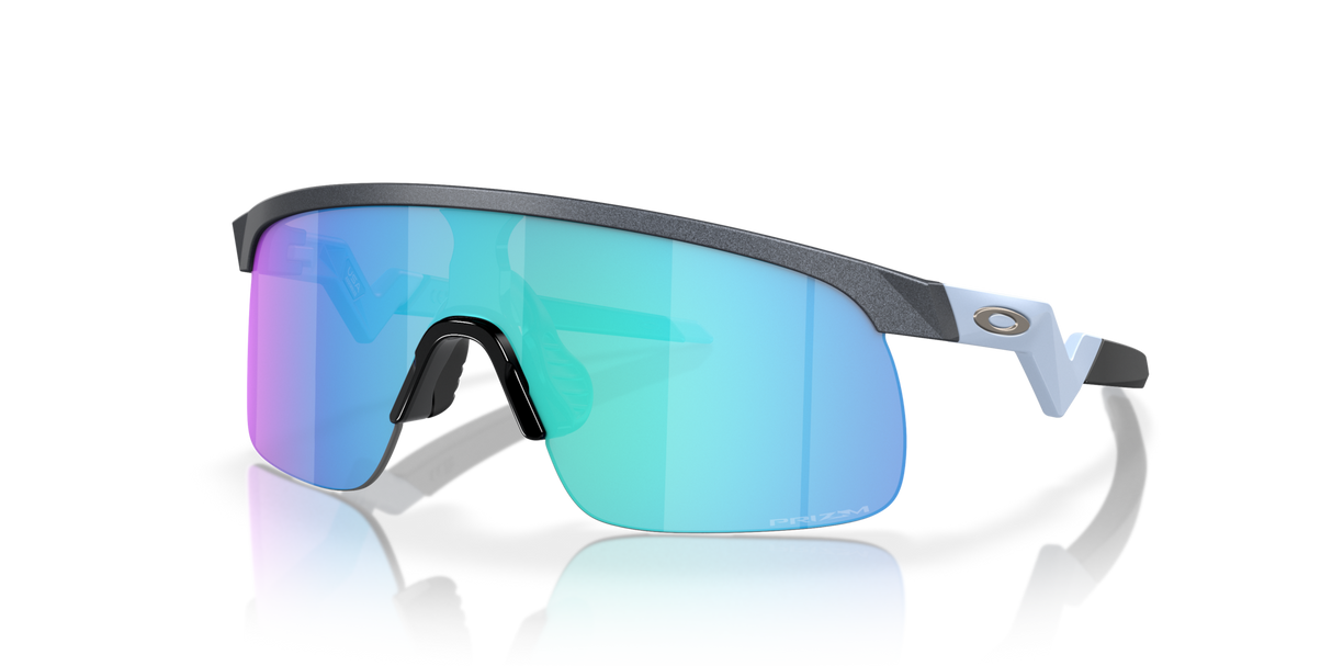 Oakley Resistor Sunglasses-2
