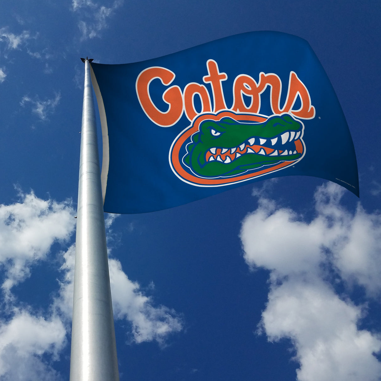 Rico Industries NCAA Florida Gators Blue 3' x 5' Banner Flag-2