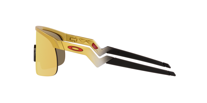 Oakley Resistor NFL Sunglasses-11