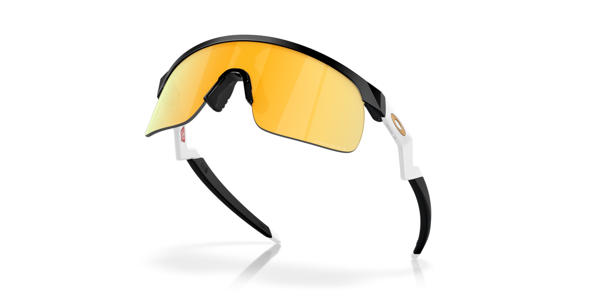 Oakley Resistor Sunglasses-5