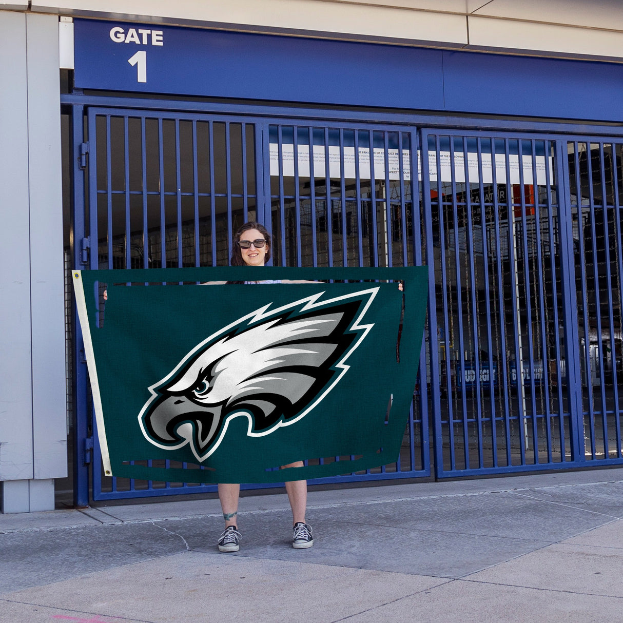 Rico Industries NFL Philadelphia Eagles Standard 3' x 5' Banner Flag-4