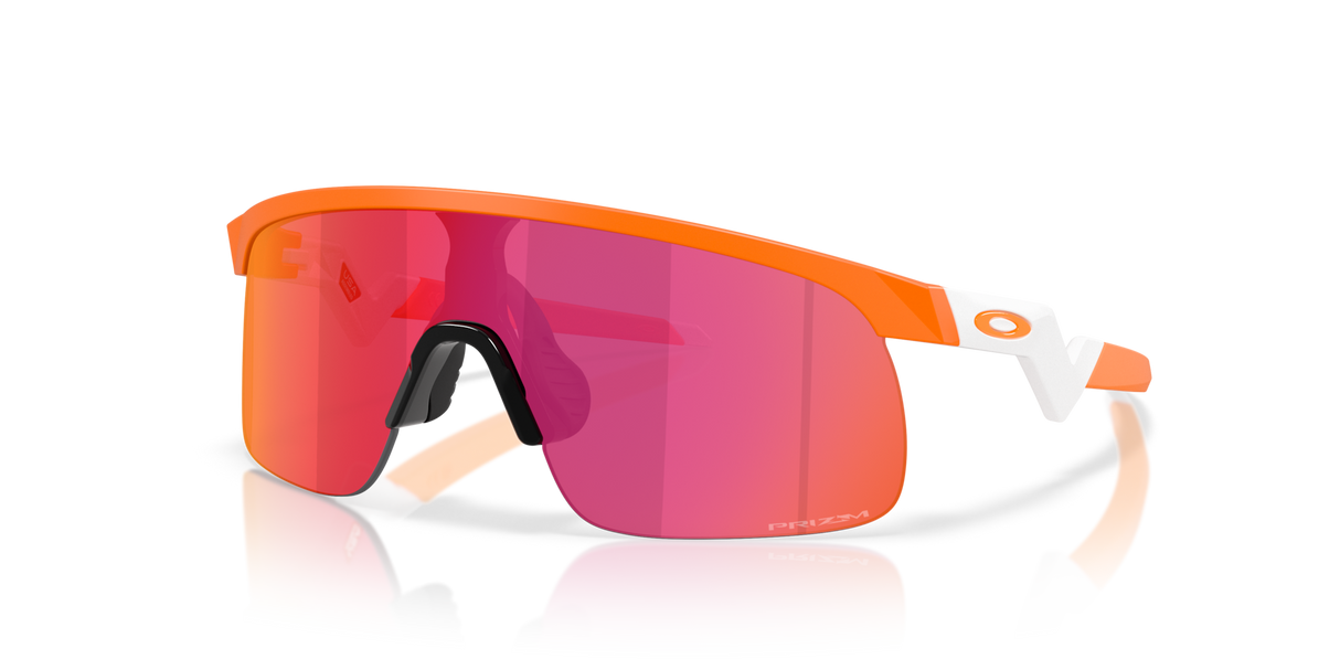 Oakley Resistor Sunglasses-2