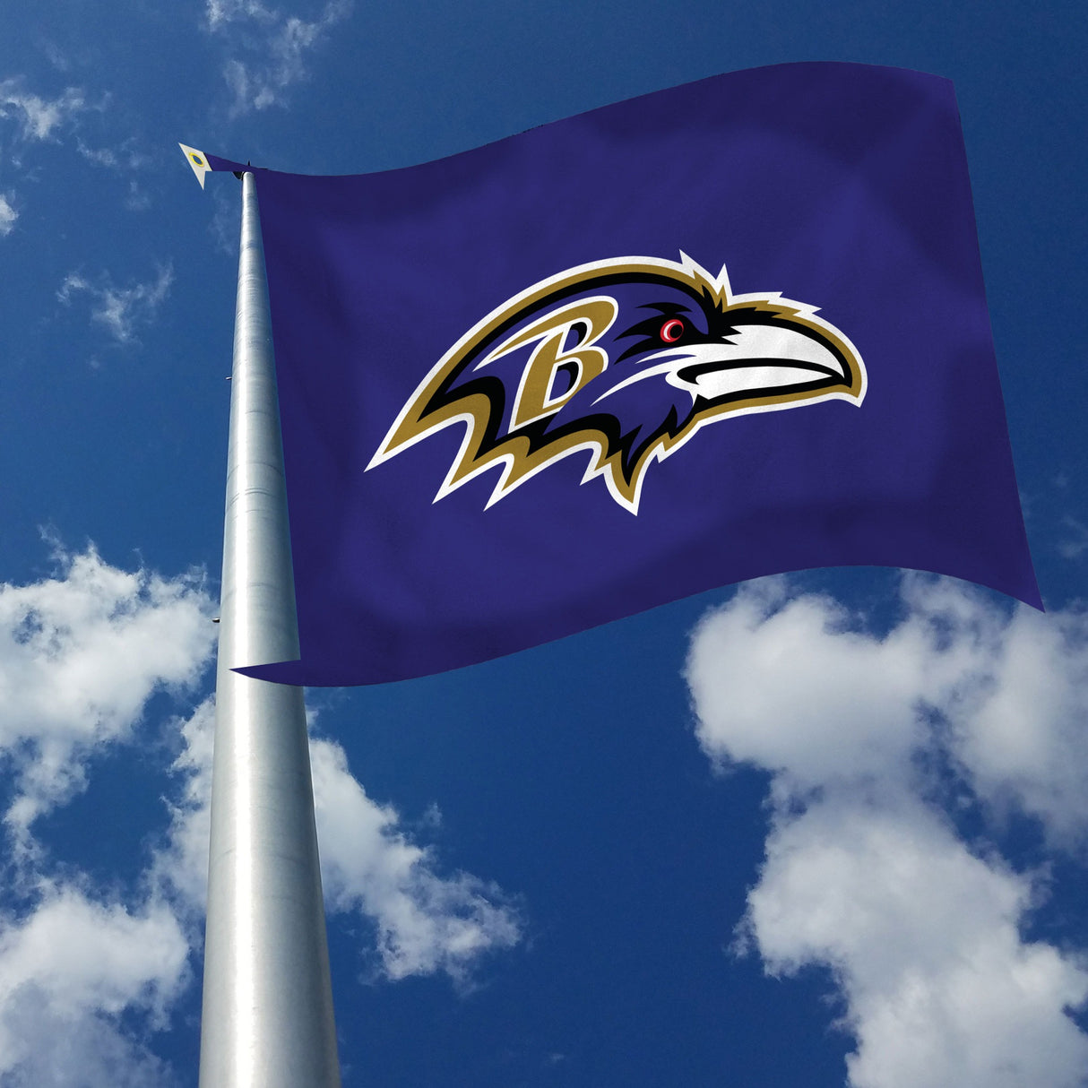 Rico Industries NFL Baltimore Ravens Standard 3' x 5' Banner Flag-2