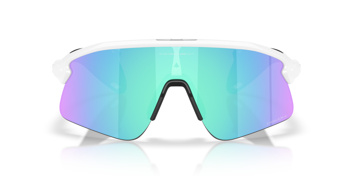 Oakley Stunt Devil Sunglasses-8