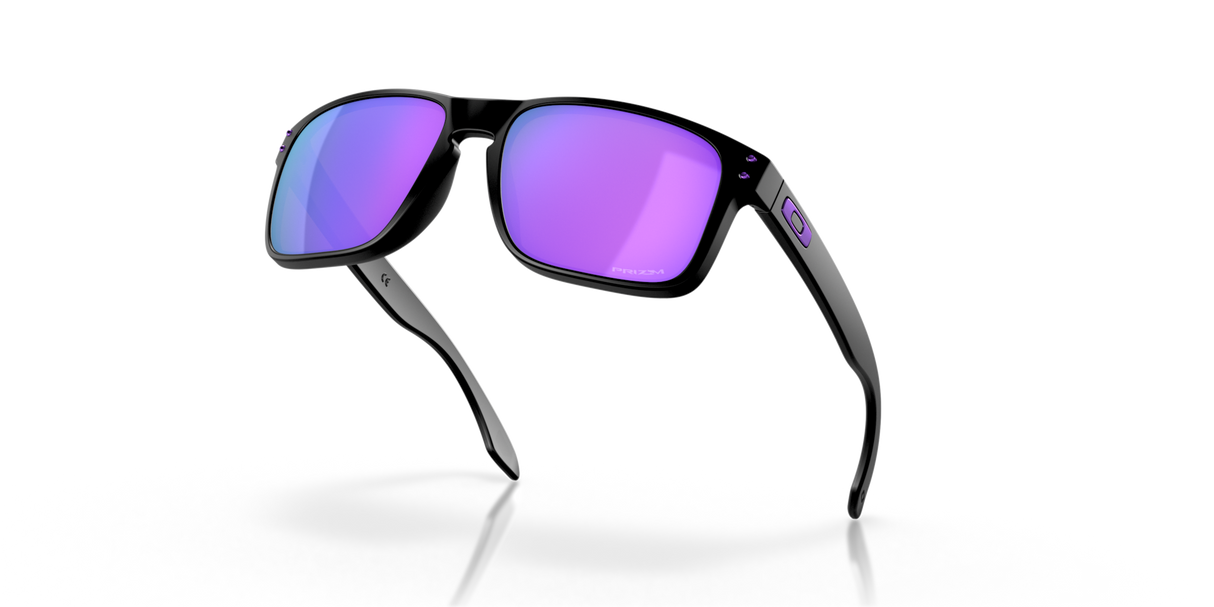 Oakley Holbrook Glasses-9
