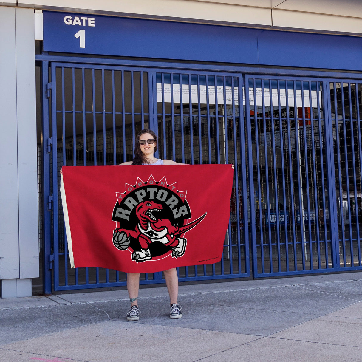 Rico Industries NBA Toronto Raptors Standard 3' x 5' Banner Flag-4