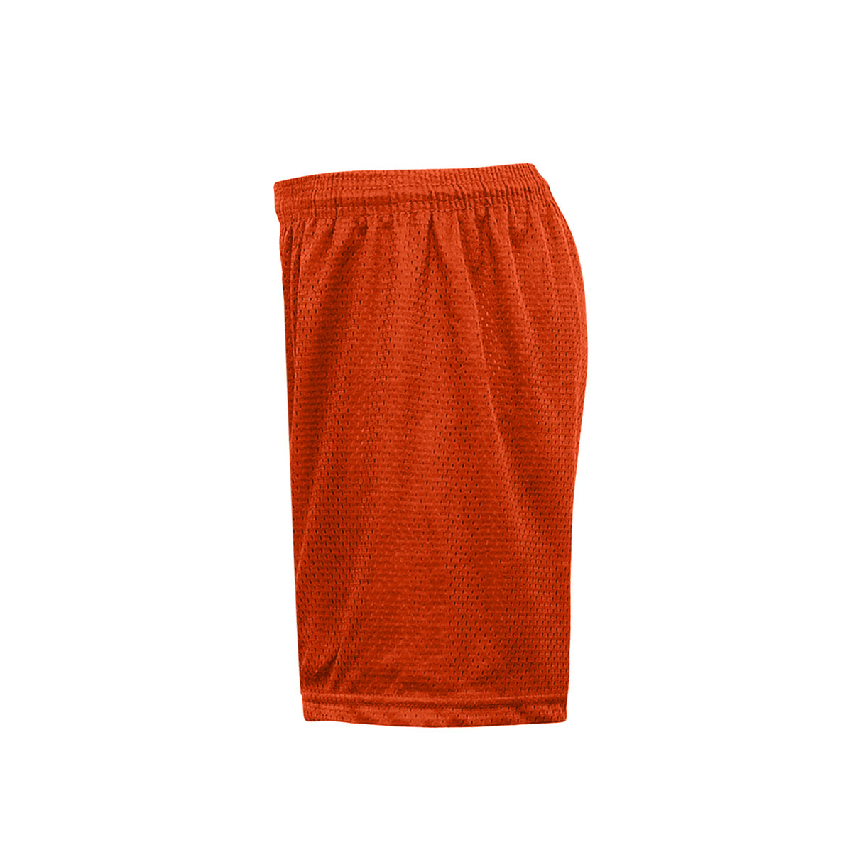 Badger Women's Mesh / Tricot Shorts Womens Apparel Shorts