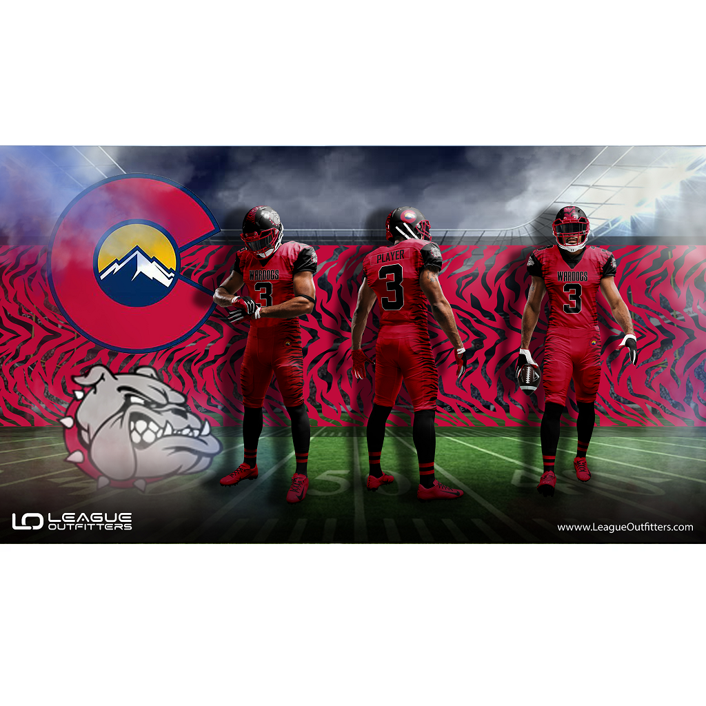 Custom Elite Sublimated Football Jerseys Team Football Jerseys