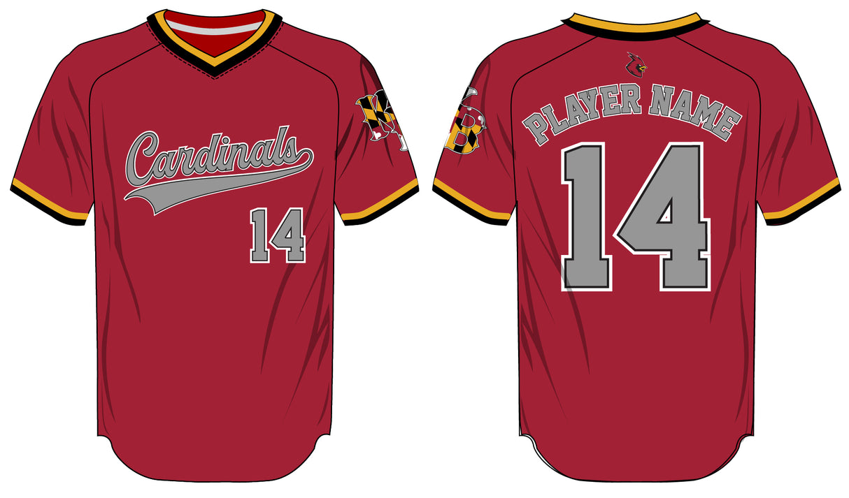 League Outfitters Custom Elite Sublimated- Sublimated V-Neck Short Sleeve Team Baseball Jerseys