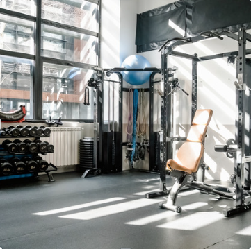 Exercise & Wellness Strength Equipment