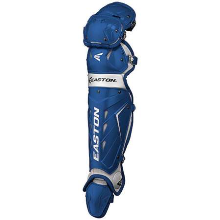 Intermediate Baseball Catcher's Equipment
