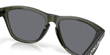 Oakley Frogskins Glasses-7