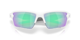 Oakley Flak 2.0 XXL Sunglasses-9