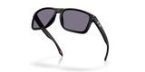 Oakley Holbrook XXL A Glasses-5