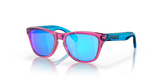 Oakley Frogskins XXS Glasses-2