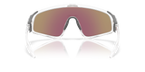 Oakley Latch Panel Glasses-4