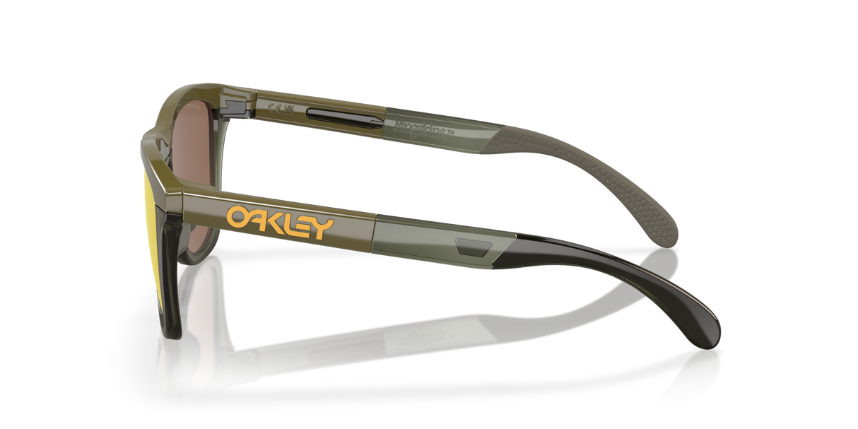 Oakley Frogskins Range Glasses-3